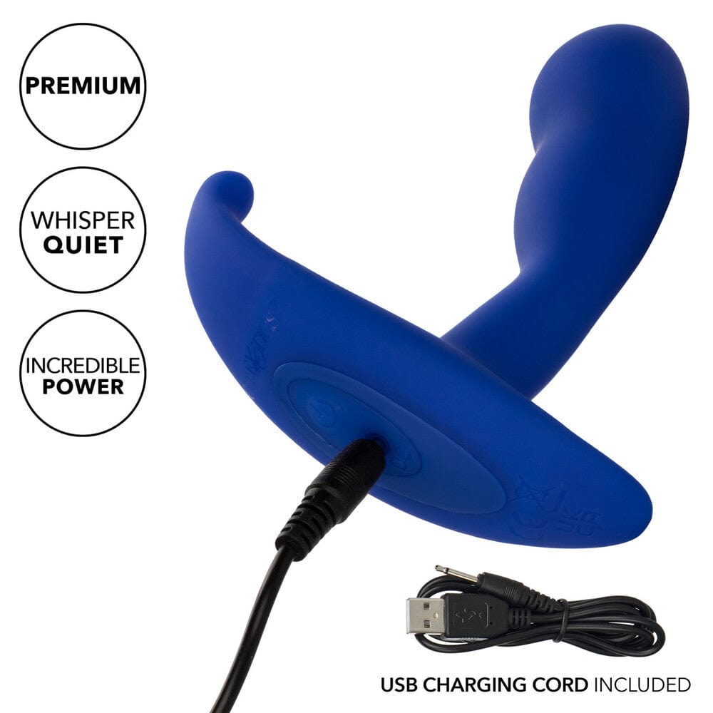 CalExotics Admiral Advanced Curved Probe Anal Probes