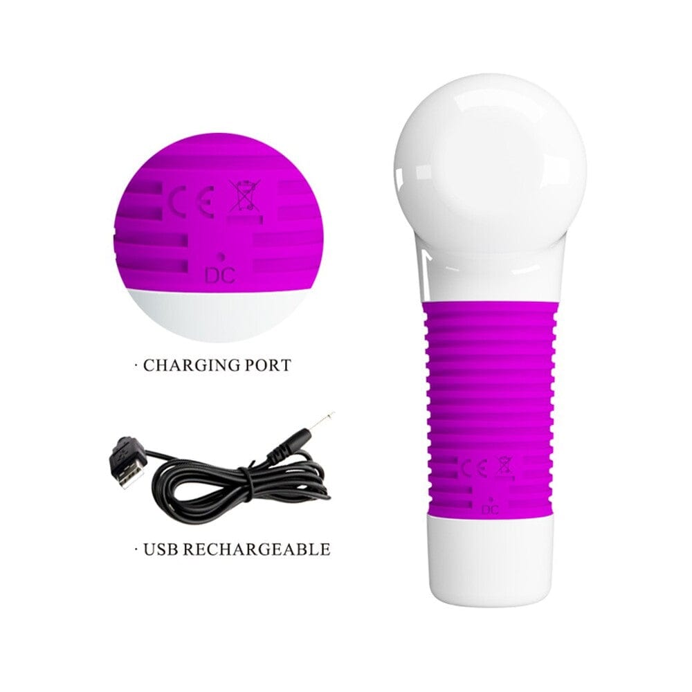 Pretty Love Pretty Love Super Power Gun Wand Massager